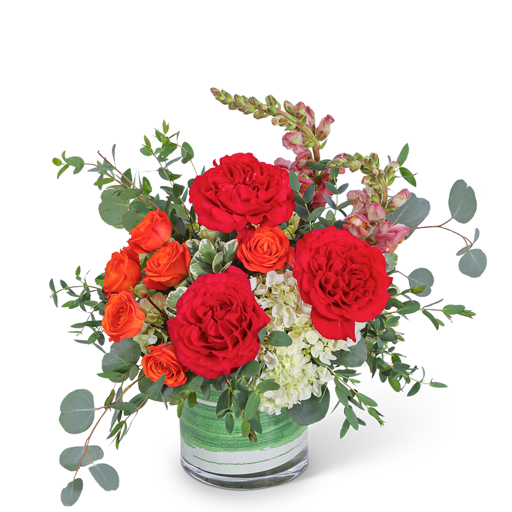 Red and orange roses in a glass vase with white hydrangea and greenery