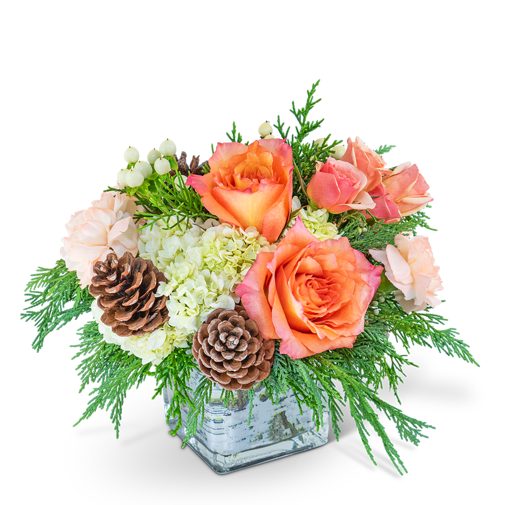 Orange roses and pale flowers in a glass cube vase with pinecones