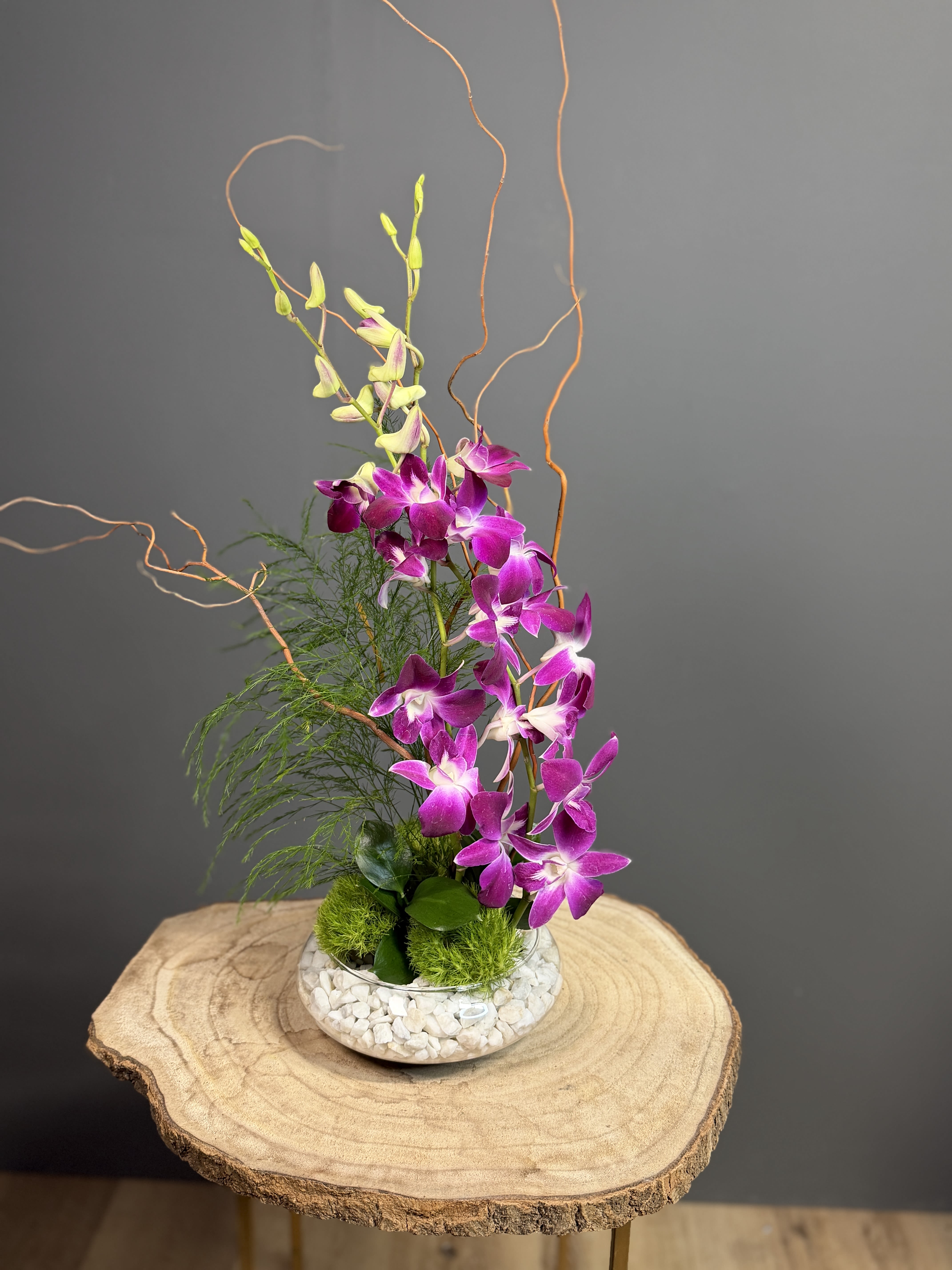 Orchid Serenity - Bring a touch of modern artistry to any space with this architectural floral design. A cascade of deep purple Dendrobium orchids rises gracefully from a bed of plush green moss and polished white river stones. Accented with whimsical curly willow branches and airy plumosa fern, this arrangement is housed in a sleek, low-profile glass bowl. It is a perfect choice for minimalist decor, executive gifting, or as a sophisticated centerpiece that balances natural beauty with contemporary structure.