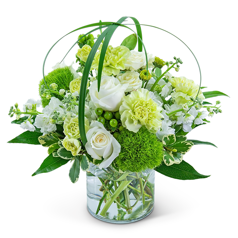 Wrapped in Cashmere - This arrangement is as soft and luxurious as its name! Wrapped in Cashmere features roses, carnations, mums, green ball dianthus, hypericum berries, and a variety of foliage. The creamy whites and greens of this piece will add a touch of class to any room.