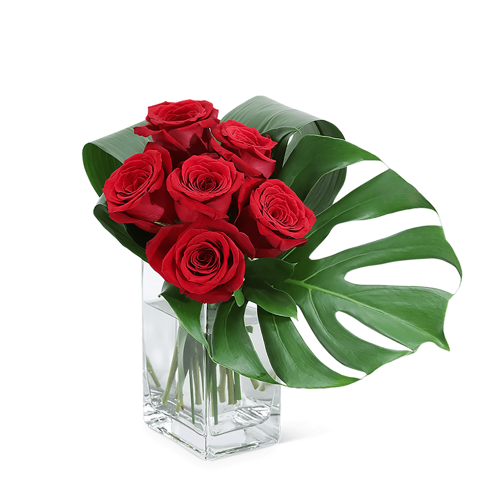 Red roses in a clear square vase with large tropical leaves