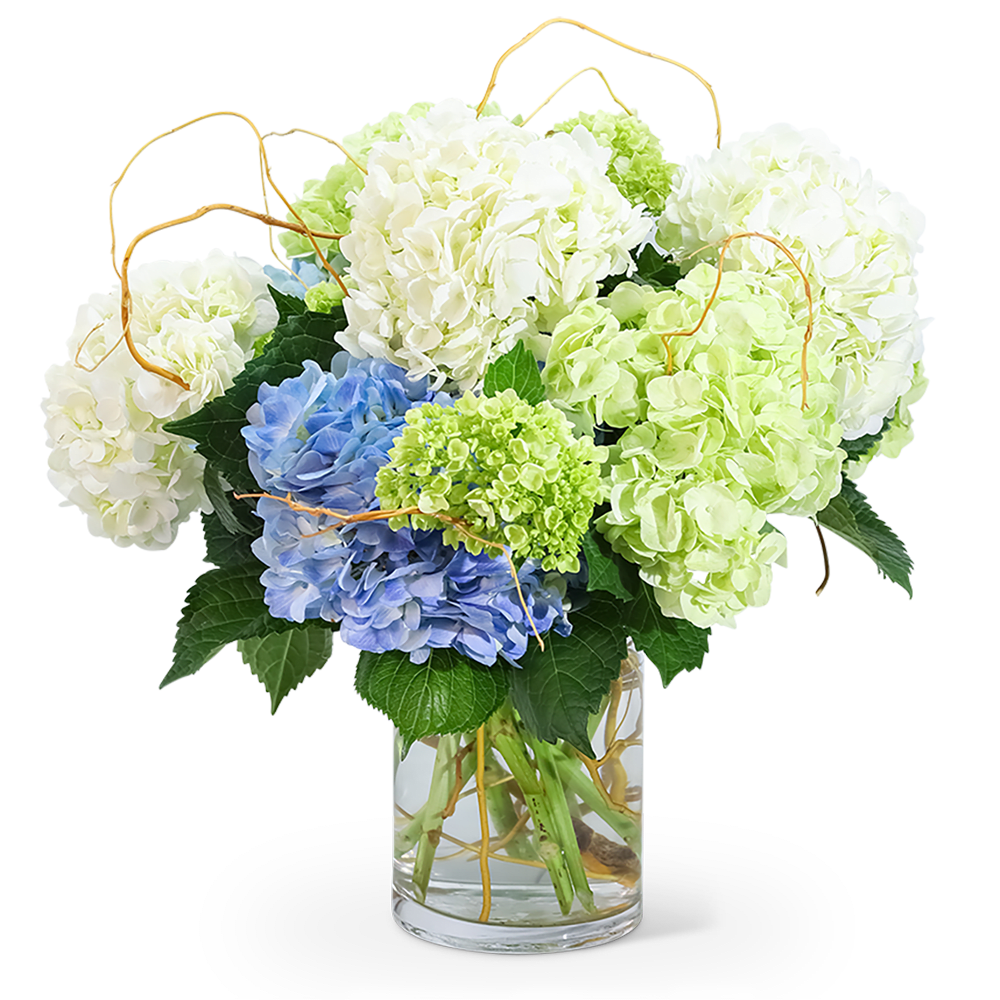 Hydrangea bouquet in a clear glass vase with curly branches