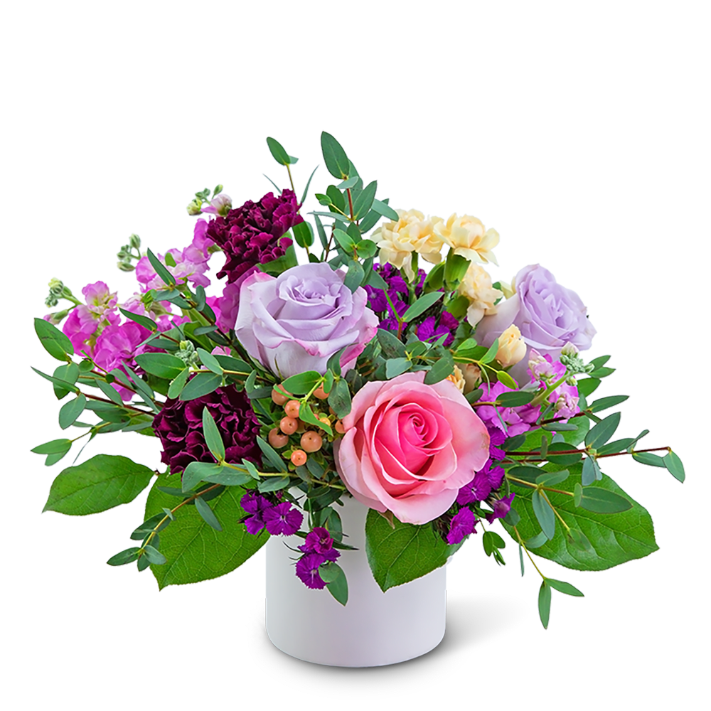 Pink and lavender roses in a white vase with purple and cream flowers