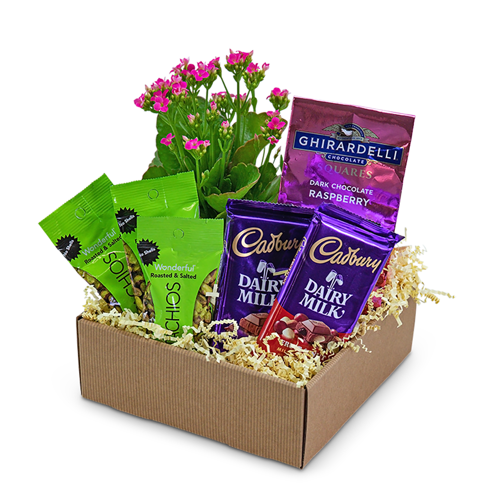Gift box with a flowering plant and assorted chocolate and nut packages