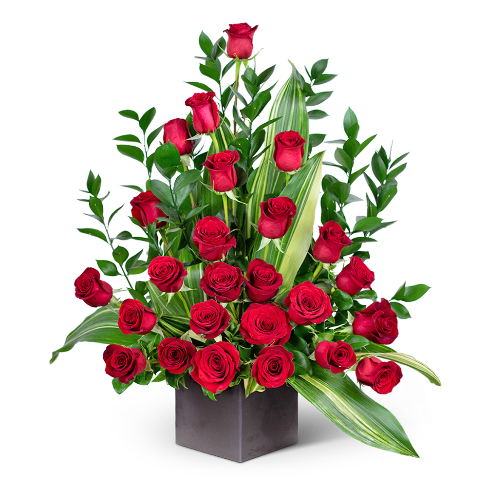 Red roses arranged in a black square vase with variegated leaves