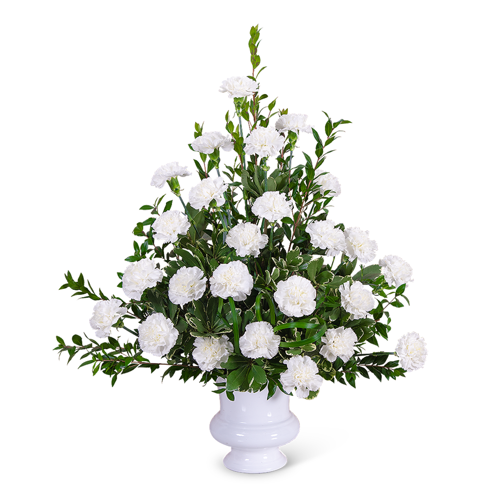 White carnation arrangement in a white urn vase