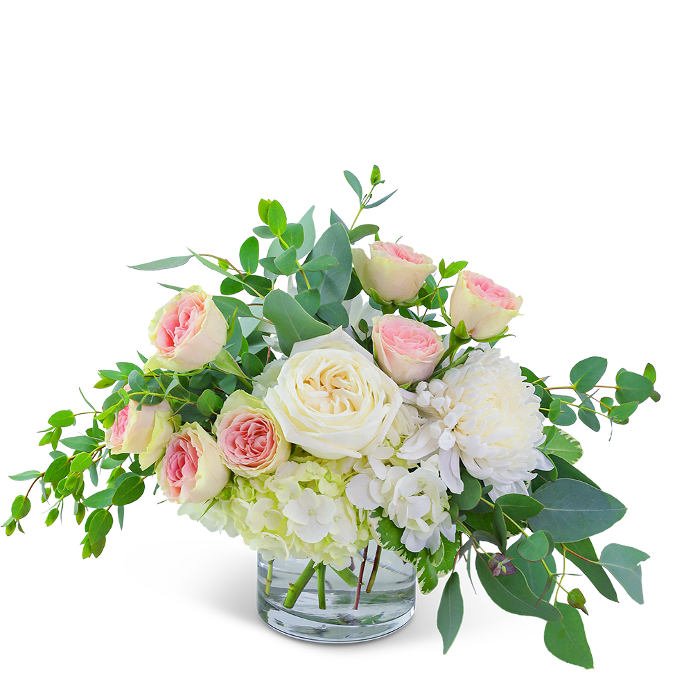 Blushing Beauty - Awaken the senses as you walk into your own romantic floral fantasy! Traditional roses, contemporary mums, and playful hydrangea mix to create a stunning bouquet! Blushing Beauty is bursting with blossoms and arranged in an eye-catching clear glass vase, accented with premium foliage. A shop favorite, this timeless beauty is perfect for any occasion!
