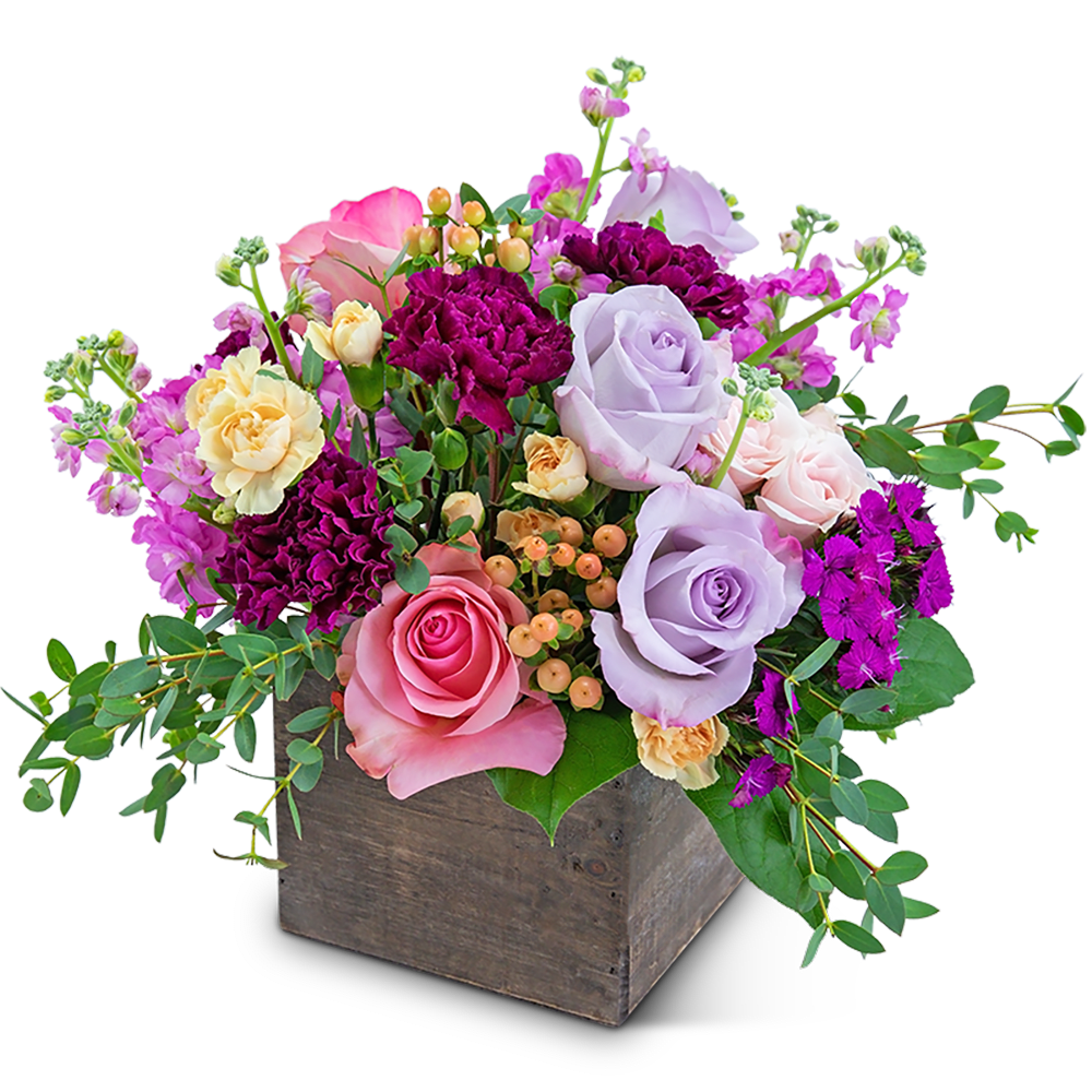 Show Me Love - Show that special someone how much you care with this arrangement of lush pinks and purples. Show Me Love contains roses, dianthus, carnations, and hypericum berries in a charming wood box. It’s a perfect gift for a birthday, anniversary, or just because! 