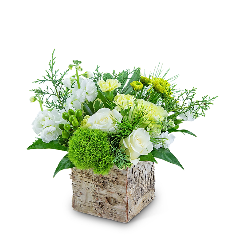 White and pale yellow floral arrangement in a birch box