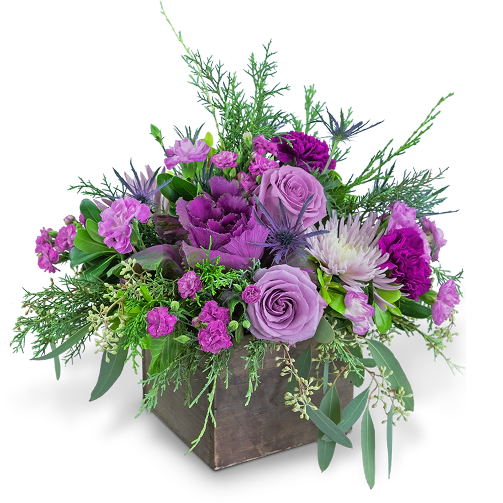 Frosted Amethyst - This jewel of an arrangement will make anyone’s holiday bright! Frosted Amethyst contains Roses, Spider Mums, Kale, Carnations, Dianthus, Eryngium, Pittosporum, Seeded Eucalyptus, and Evergreen in a rustic wood box. What a great way to make your home or office sparkle!