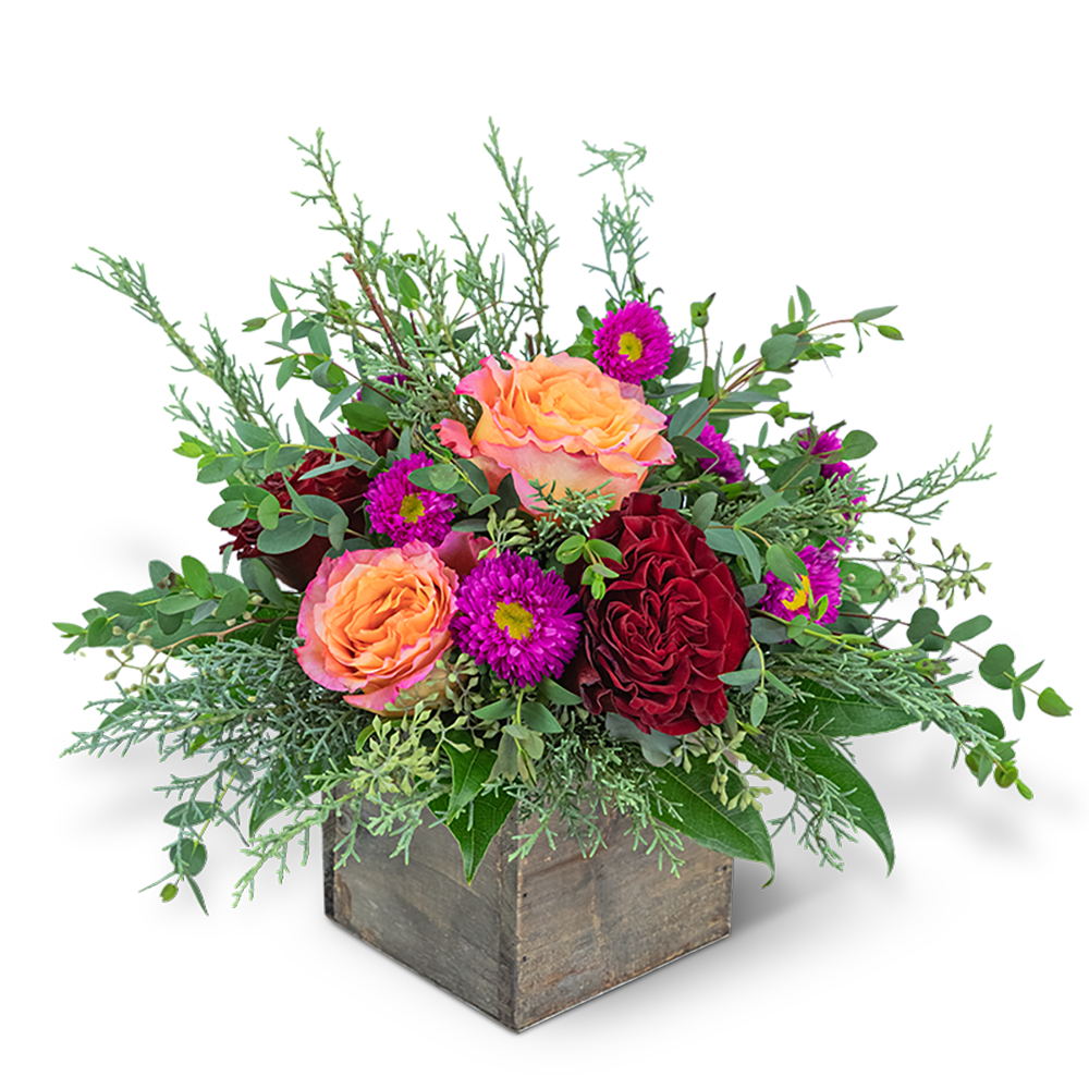 Festive Hearth - Bring the party to any occasion with this festive arrangement! Festive Hearth features unique Roses, Matsumoto Asters, Cocculus, Parvifolia, Seeded Eucalyptus, and Evergreen in a rustic wood box. This colorful piece will be perfect on a coffee table or desk.