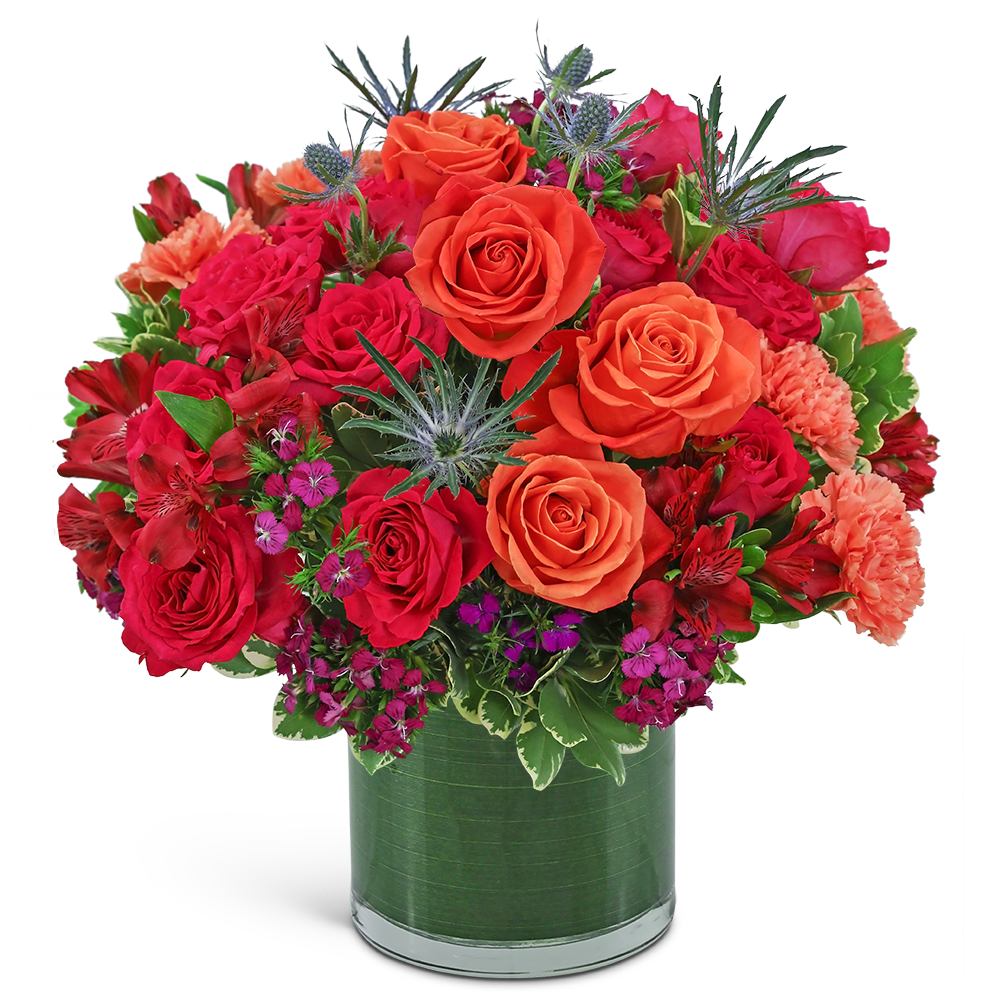 Bellini Luxe - This bright and cheery design packs a punch with its lush Roses, Carnations, Alstroemeria, and premium foliage in a leaf-lined vase. Our Bellini Luxe arrangement will brighten someone's day and is made from the freshest flowers available. It's the perfect choice for a housewarming or congratulatory gift. The flowers and container may vary based on availability.