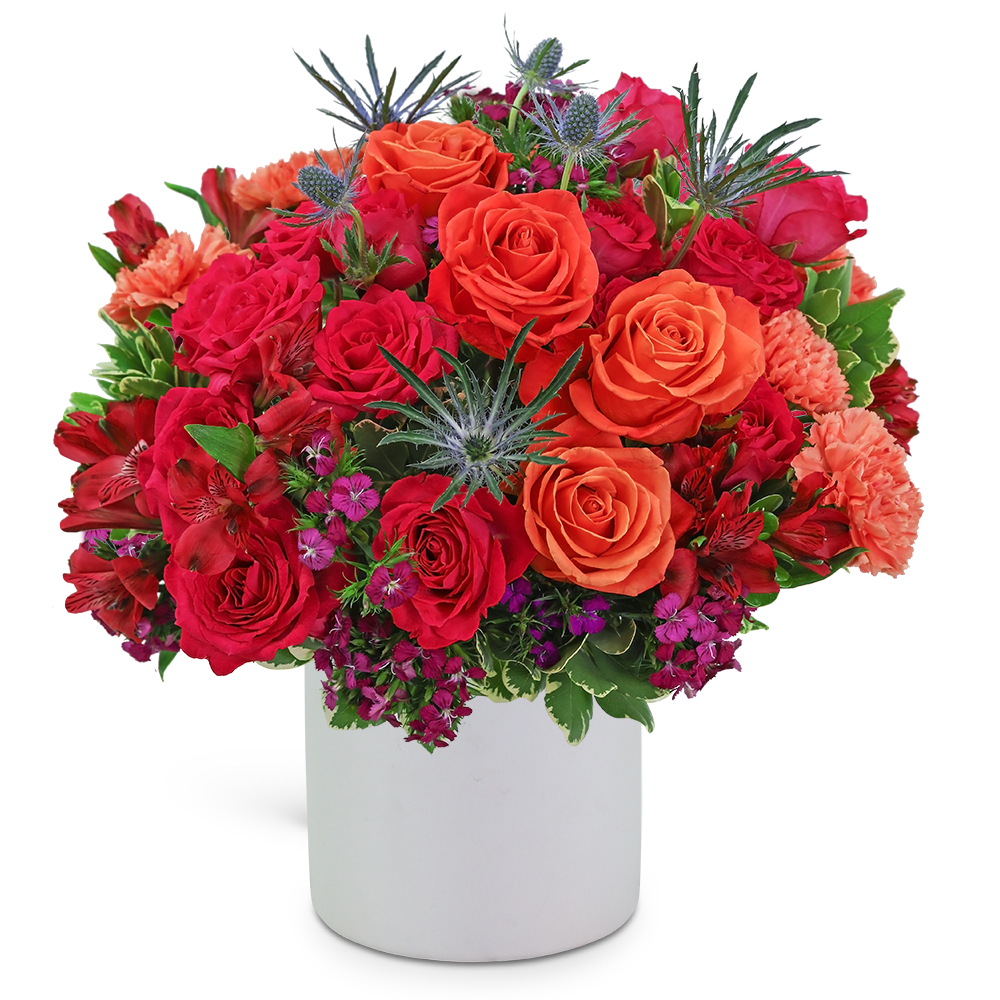 Bright bouquet of red and orange roses in a white vase