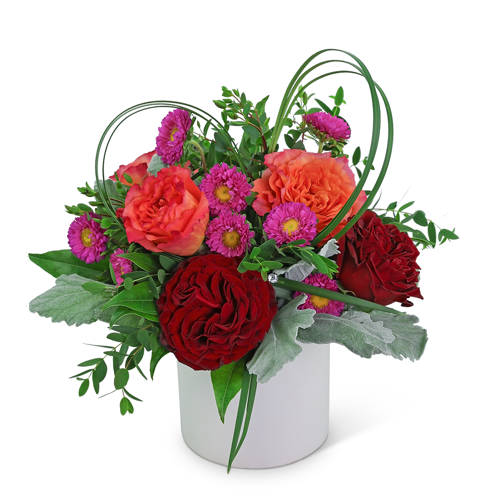 Red and orange roses with purple daisies in a white vase