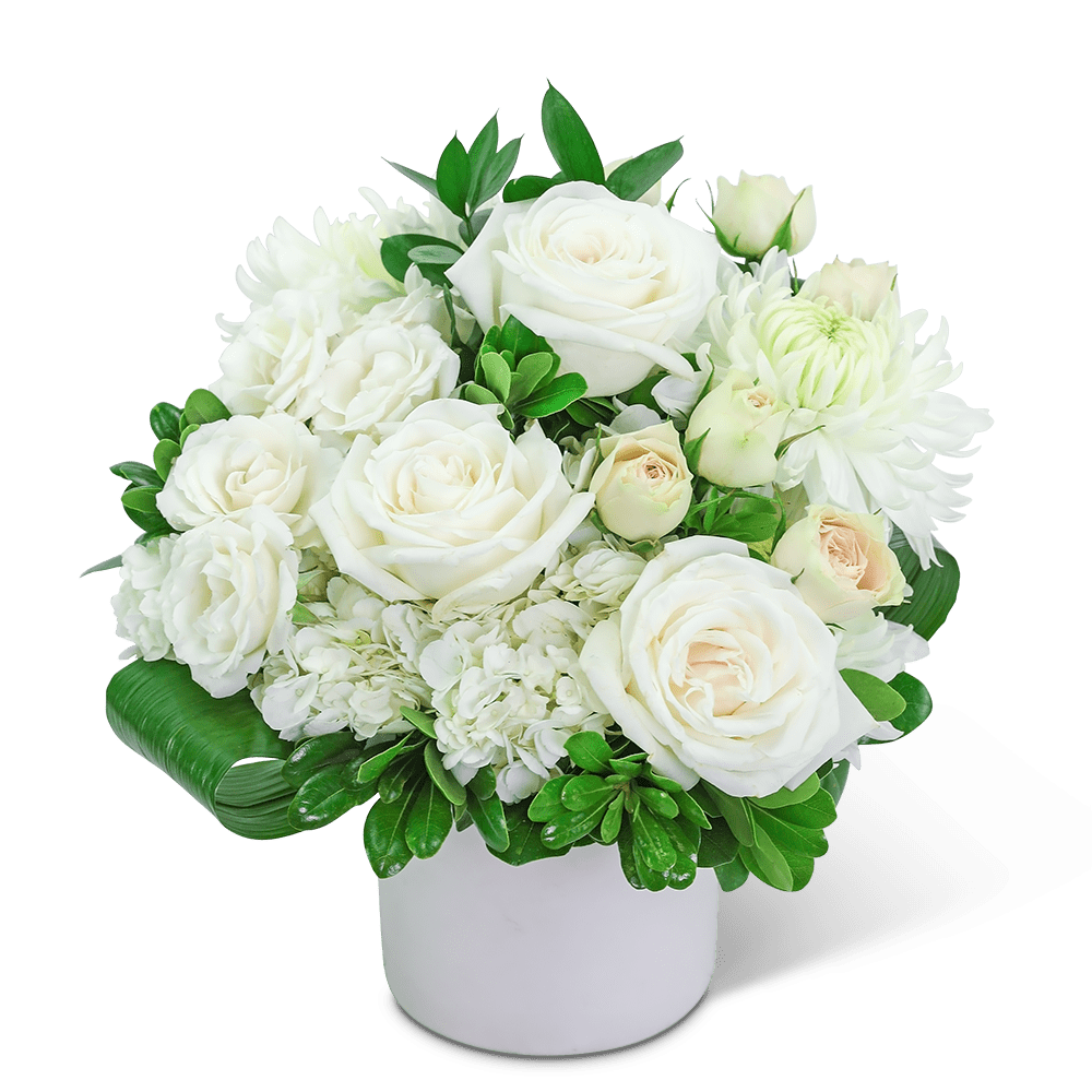 White roses and chrysanthemums arranged in a white vase