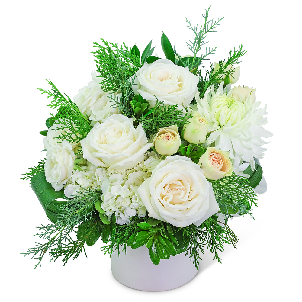 White roses and chrysanthemums in a white vase with green foliage