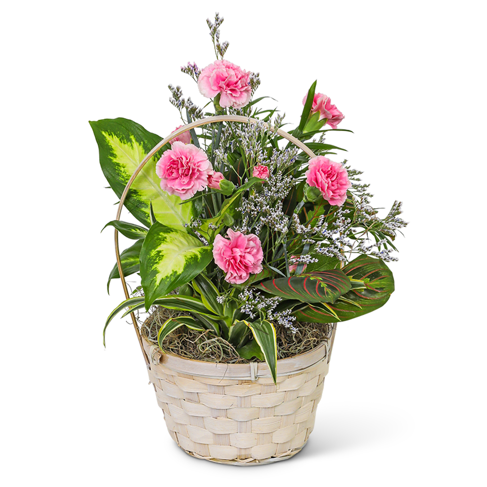 Pink carnations in a woven basket with mixed foliage