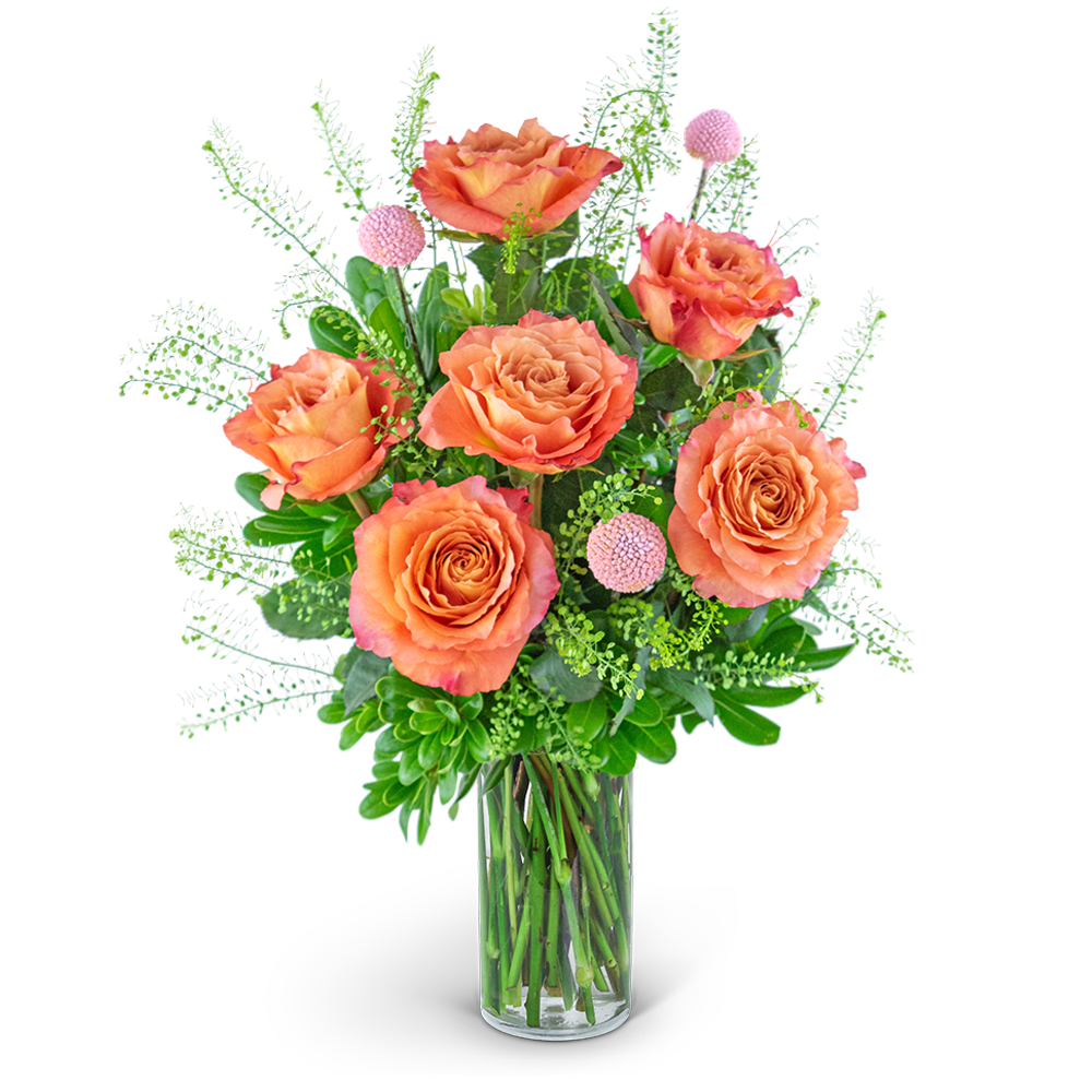 Orange roses in a clear glass vase with pink pom-pom accents