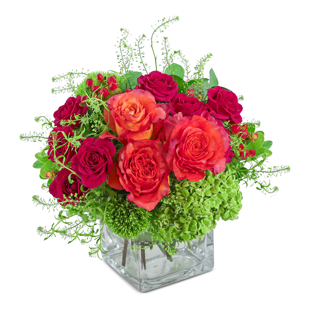 Samba Blooms - Samba Blooms is a vibrant and lively floral arrangement bursting with bright orange, pink, and green hues. Set in a clear vase, this stunning floral design showcases Roses, Green Trick Dianthus, Hypericum Berry, Hydrangea, and premium foliage, creating a gorgeous and uplifting gift. Perfect as a birthday surprise or a "just because" gift, Samba Blooms brings a joyful and celebratory touch to any occasion.