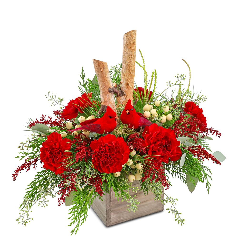 Red carnations with berries and greenery in a wooden box, topped with two cardinal figurines