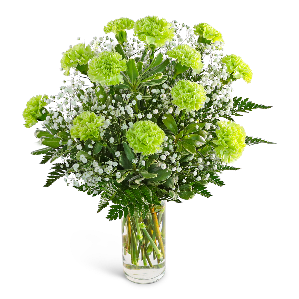 Green carnations and baby's breath in a clear glass vase