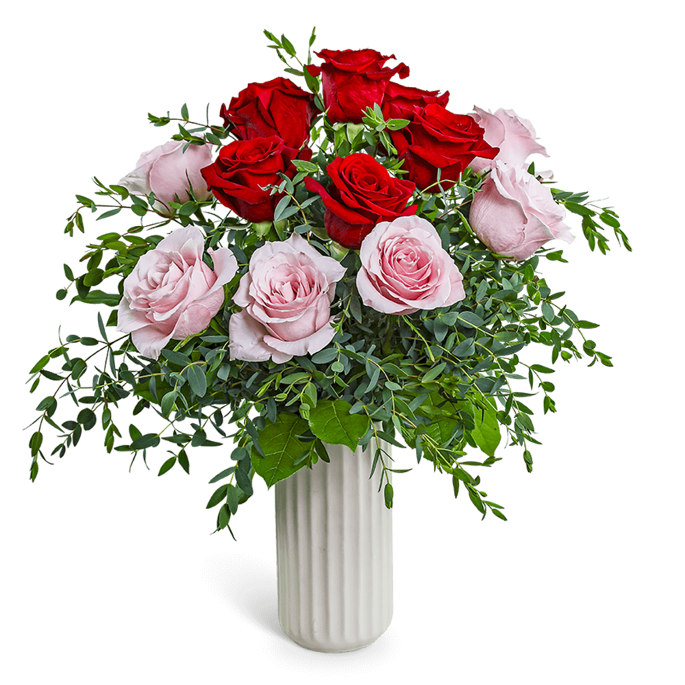 One Dozen Perfect Pink and Red Roses - One Dozen Perfect Pink and Red Roses is a romantic arrangement with bold red roses at the center, framed by soft blush pink roses and accented with lush greenery, all presented in a clear glass vase. Ideal for anniversaries, birthdays, or any occasion that calls for love and elegance. Available for local flower delivery to make someone's day unforgettable.