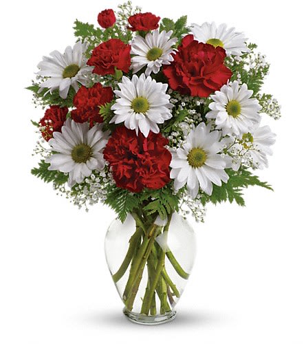 Red carnations and white daisies in a clear glass vase