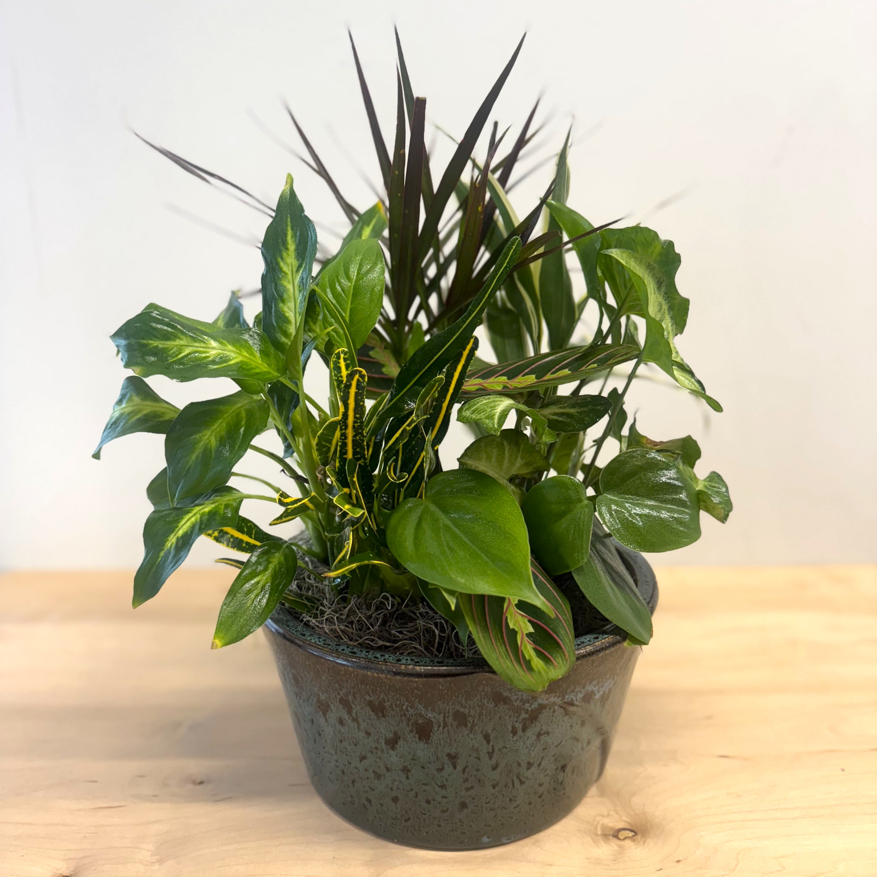 Mixed Dish Garden - Our Mixed Dish Garden makes a great, lasting gift - whether for sympathy or celebration!  Ranging in size from 8" - 14" these gardens feature green vining plants, vibrant colors, air purifying options, and taller palms.  Ivy, Rubber, Driscenia, Arrowhead, Phyladenderon, Crotons, and Palms are all classic options you'll find in these mixed gardens.  The container is a Tennessee Ceramics bowl, made in the USA, and each stunning on its own.   