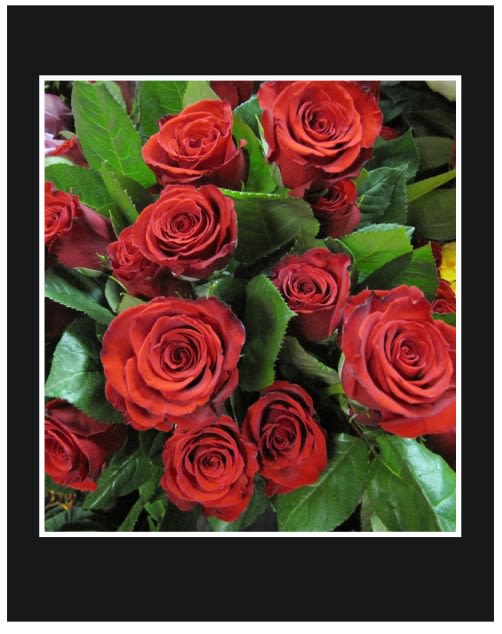 Bouquet of red roses with green leaves