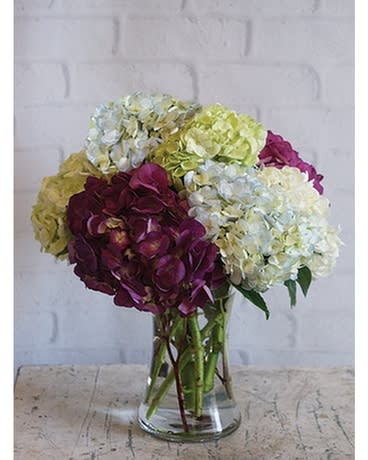 Arrangement of white, green, and purple hydrangeas in a clear glass vase