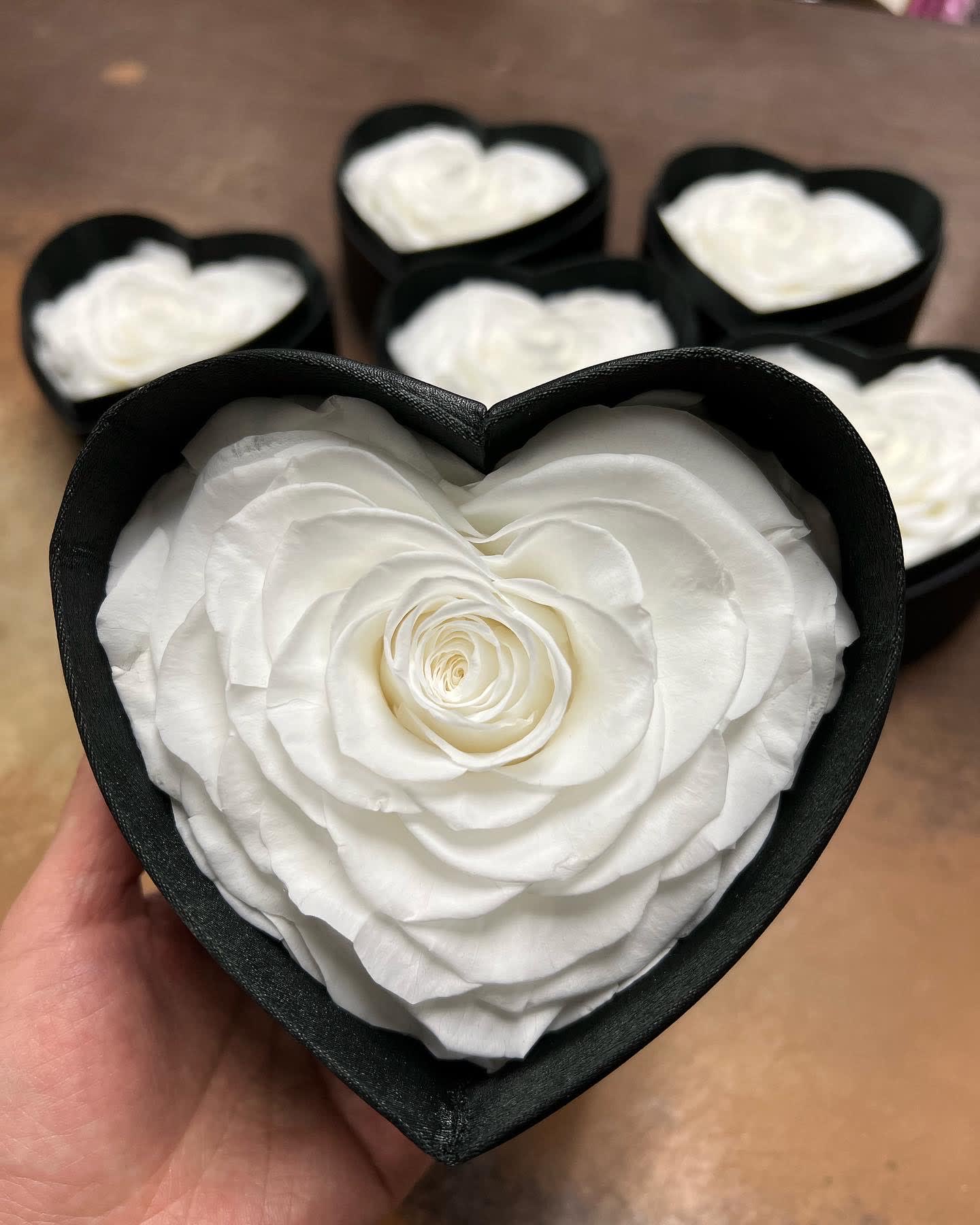 White rose in a black heart-shaped box