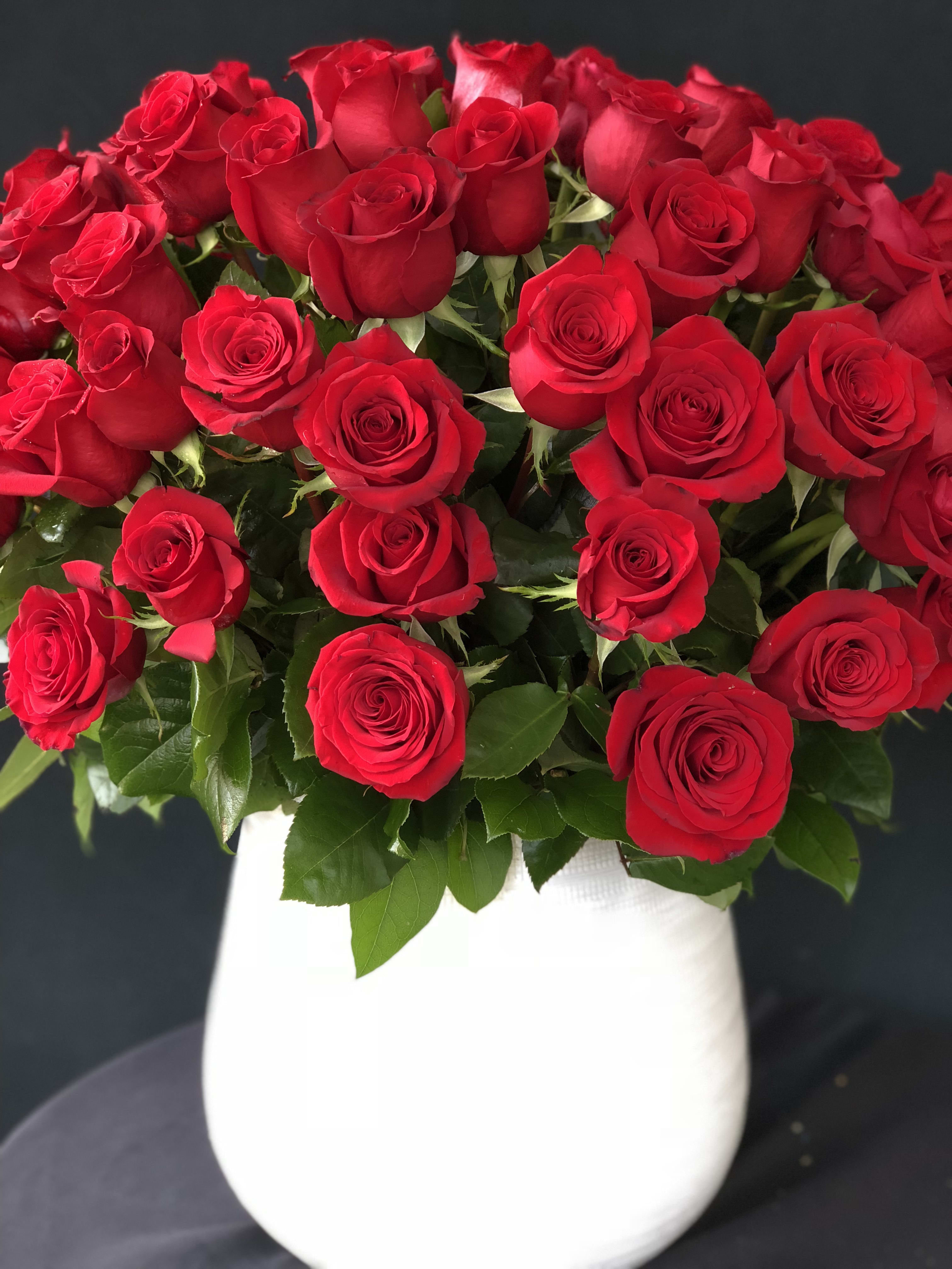 Large arrangement of red roses in a white vase against a dark background
