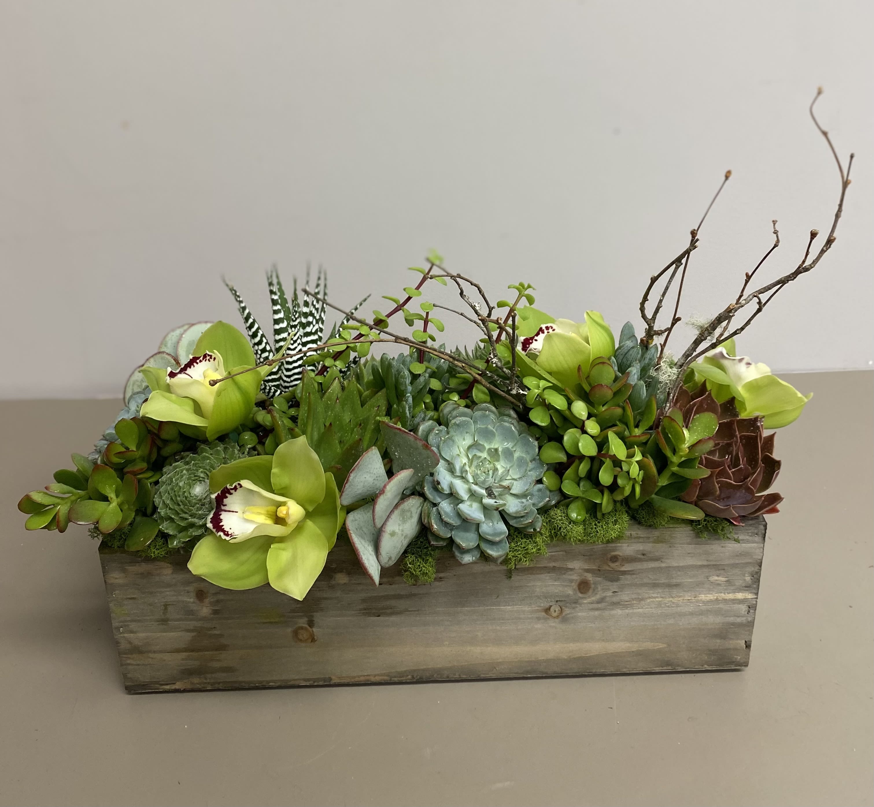 Low wooden box planter filled with assorted succulents and green orchids with branches.