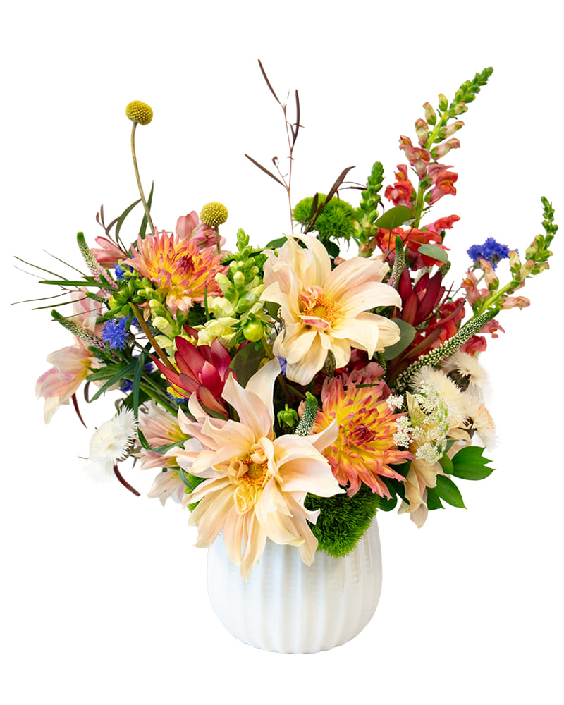 Mixed bouquet of peach, pink, yellow, and blue flowers in a white vase