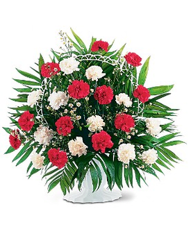 Red and white carnation arrangement in a white vase