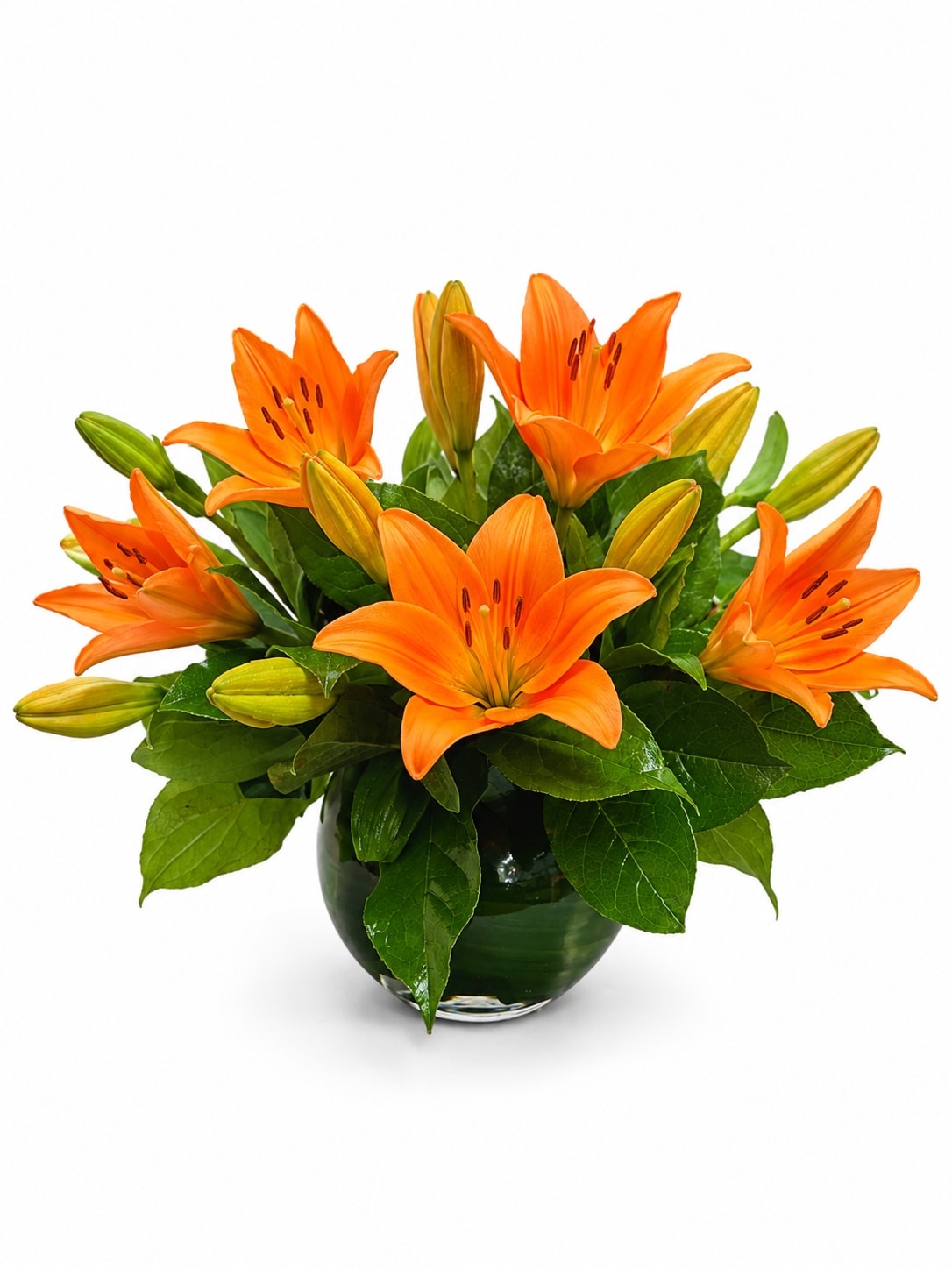 Lily Love - Orange lilies are a great gift to send for celebrating Grandparents Day, Parents Day, or a birthday as they symbolize confidence, energy, and honor. Send a joyful bowl of orange lilies to brighten a space.  1st Image: Standard 2nd Image: Premium