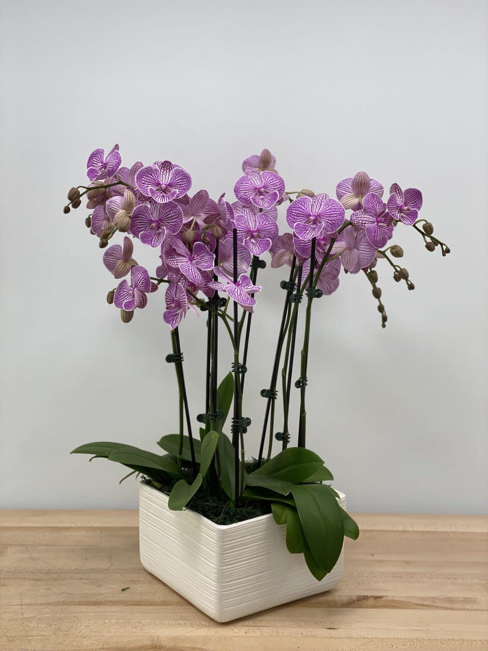 Pink-purple orchids in a white rectangular planter