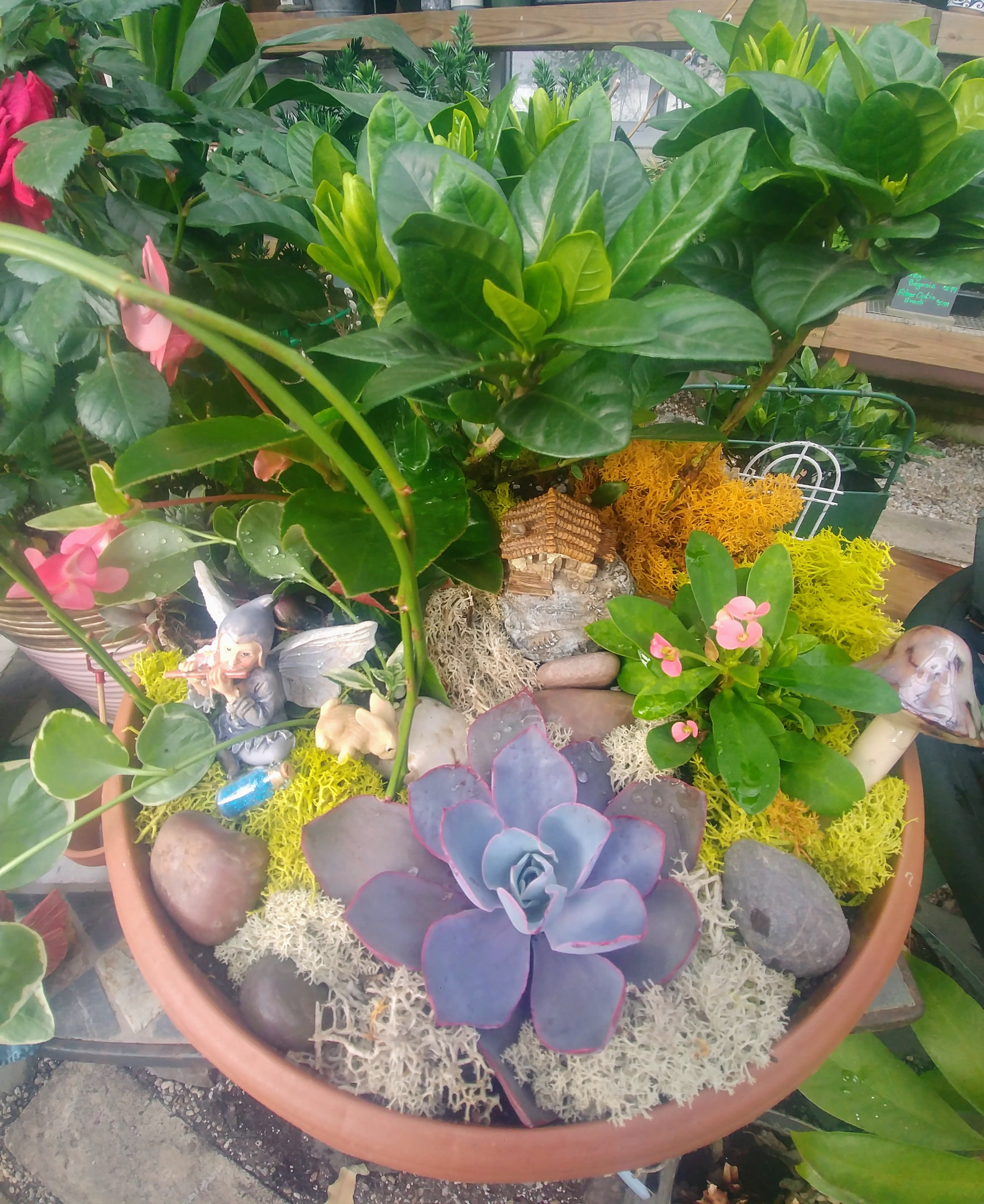 Potted succulent arrangement with stones and small decorative figurines