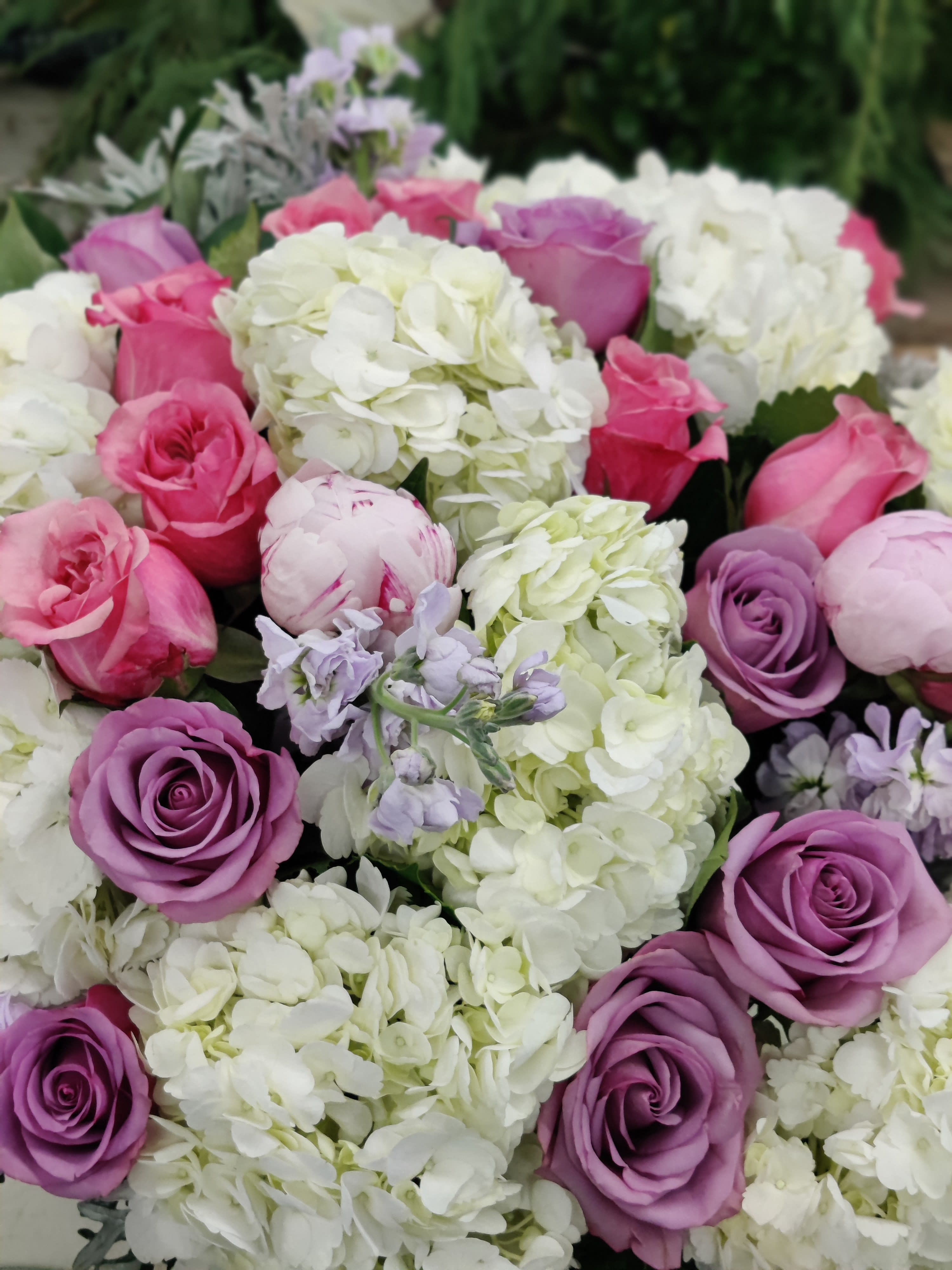 Bouquet of pink and lavender roses with white hydrangeas