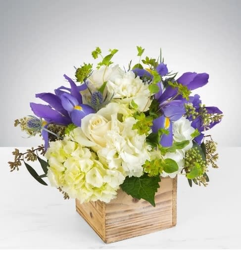 Breath of Fresh Air by BloomNation™ - This is the perfect gift for someone who can use some R &amp; R. The arrangement contains roses, carnations, blue iris, and other seasonal blooms. APPROXIMATE DIMENSIONS: 8" L x 8" W x 8" H