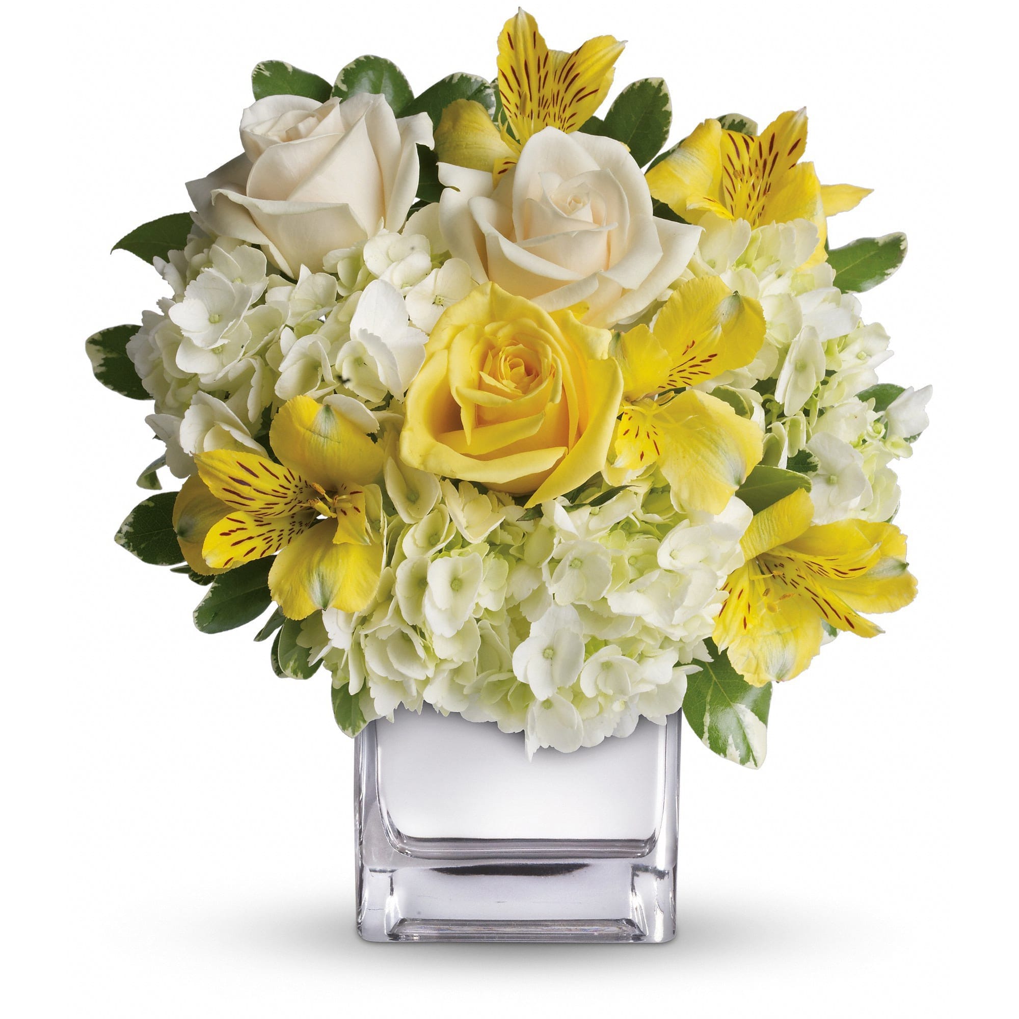 Teleflora's Sweetest Sunrise Bouquet - This sparkling array of sunny favorites in a silver cube vase will be the star of any room. It's a sweet gift she'll love to receive - and you'll be proud to give. Sweet price, too. 