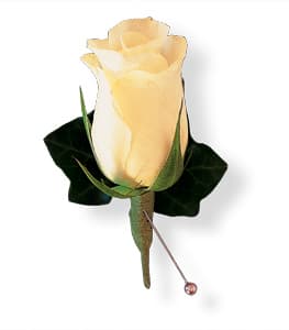 Single pale yellow rose boutonniere with dark leaves and a pin