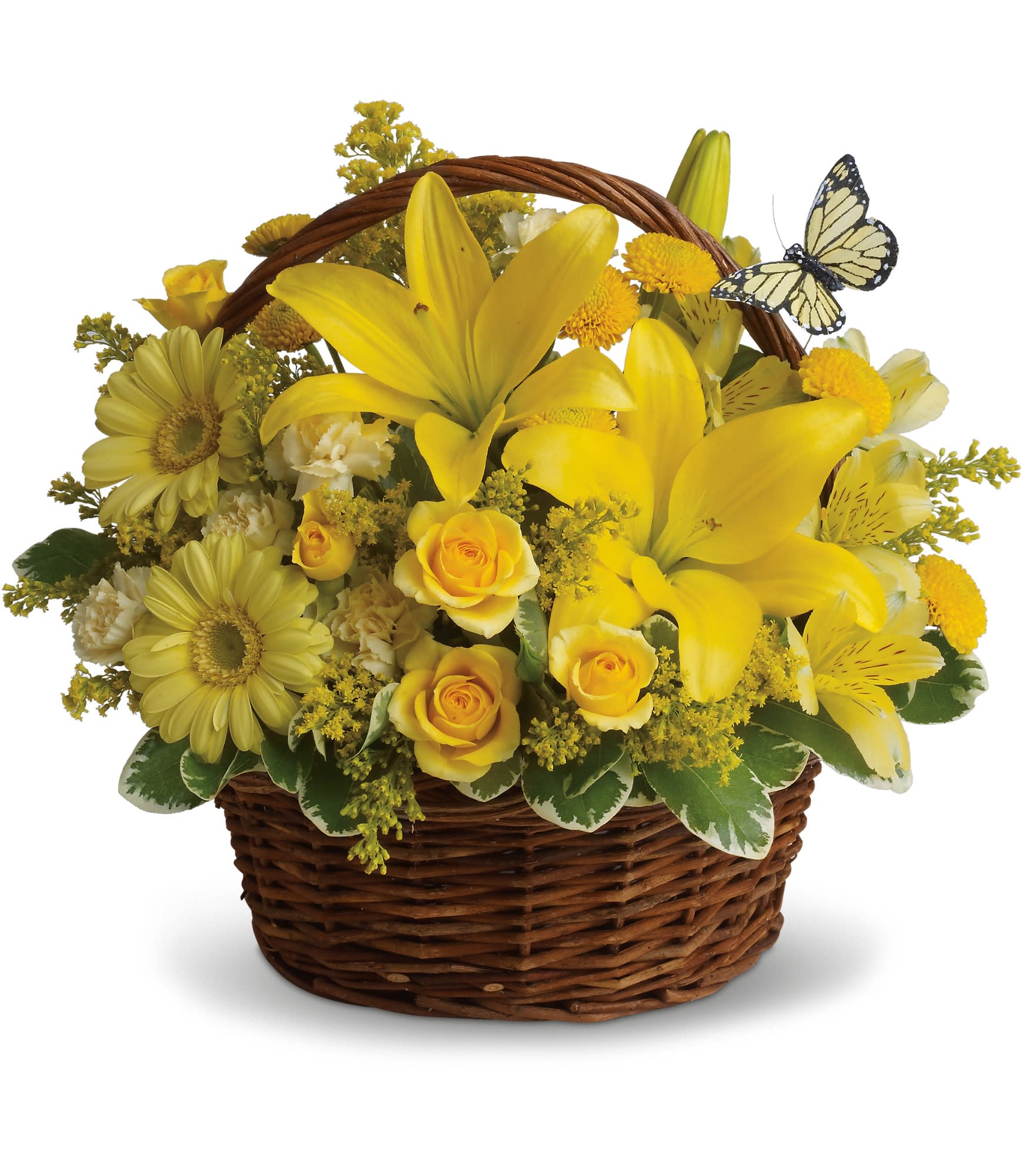 Basket Full of Wishes - Wishes do come true, by the basketful, actually. This delightful arrangement is so full of sunny blossoms, it even includes a pretty yellow butterfly who obviously feels right at home, basking in the warmth.  Brilliant yellow spray roses, asiatic lilies, miniature gerberas, carnations, alstroemeria, button spray chrysanthemums and delightful greenery are joined by a delicate butterfly in an oval basket. It's a basket of wonder and wishes!  Approximately 12" W x 11" H  Orientation: All-Around  As Shown : T27-2A Deluxe : T27-2B Premium : T27-2C