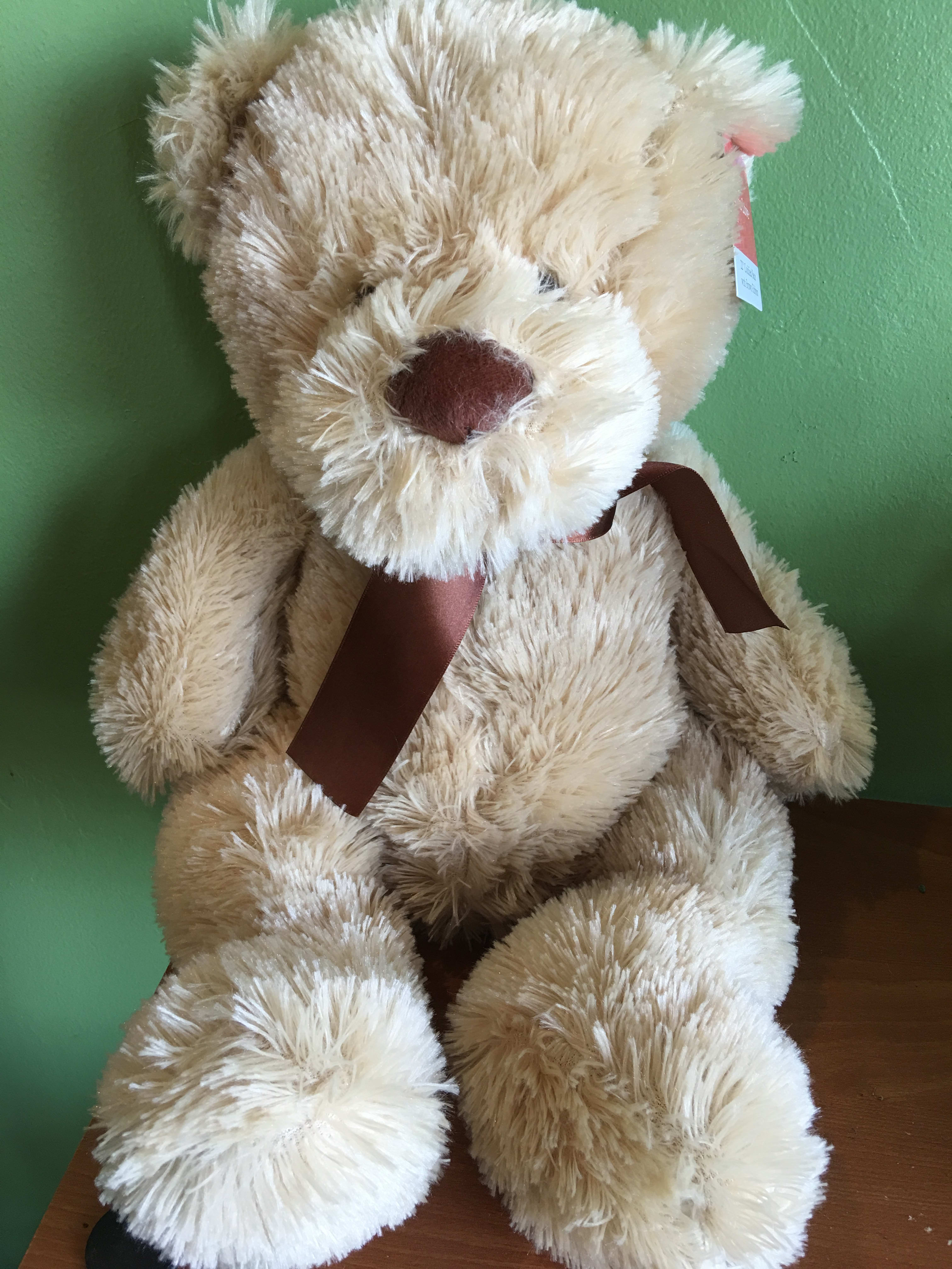 22" teddy bear - Soft 22" brown bear!