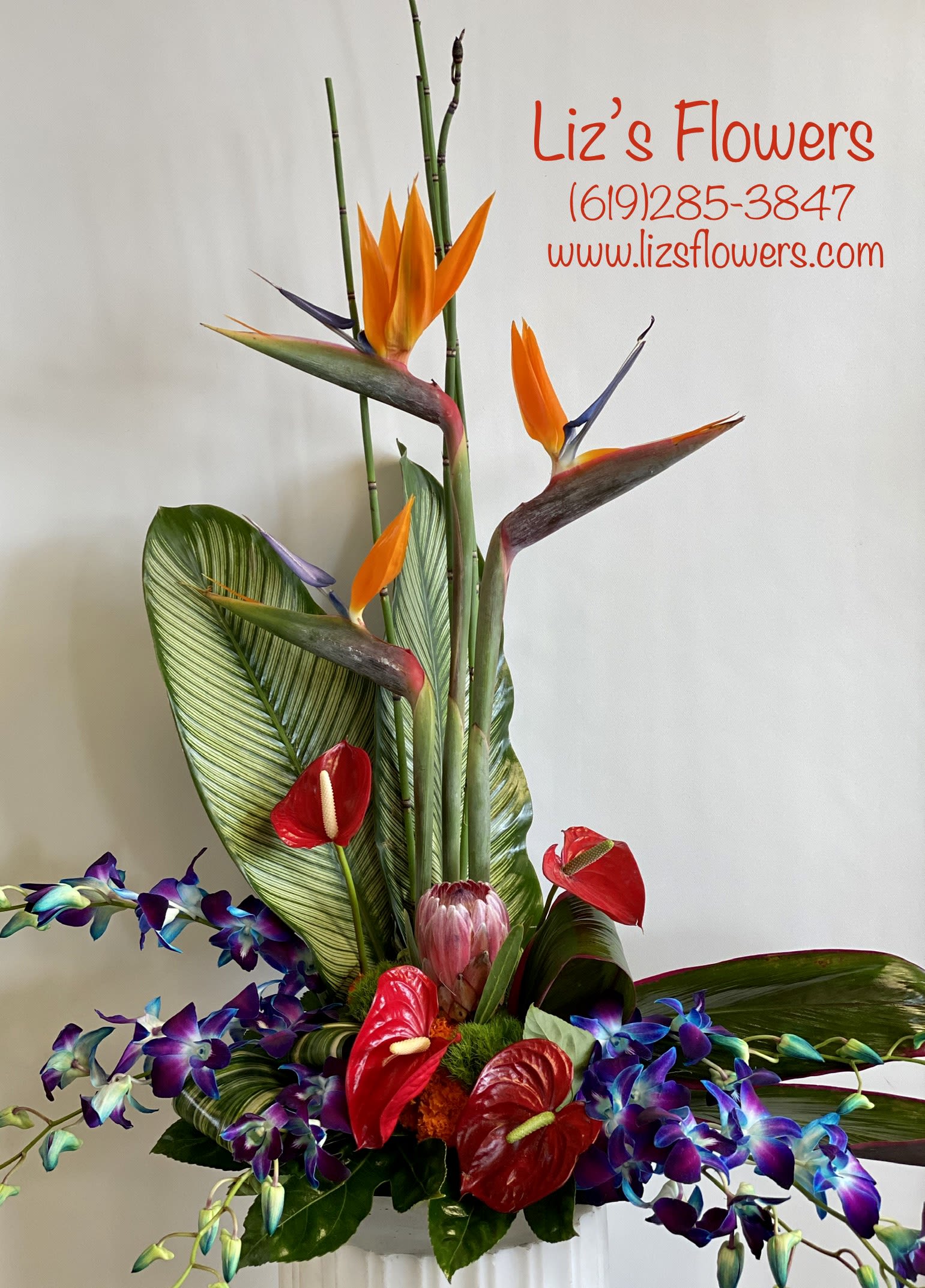 Tall tropical arrangement with orange bird-of-paradise and red anthuriums
