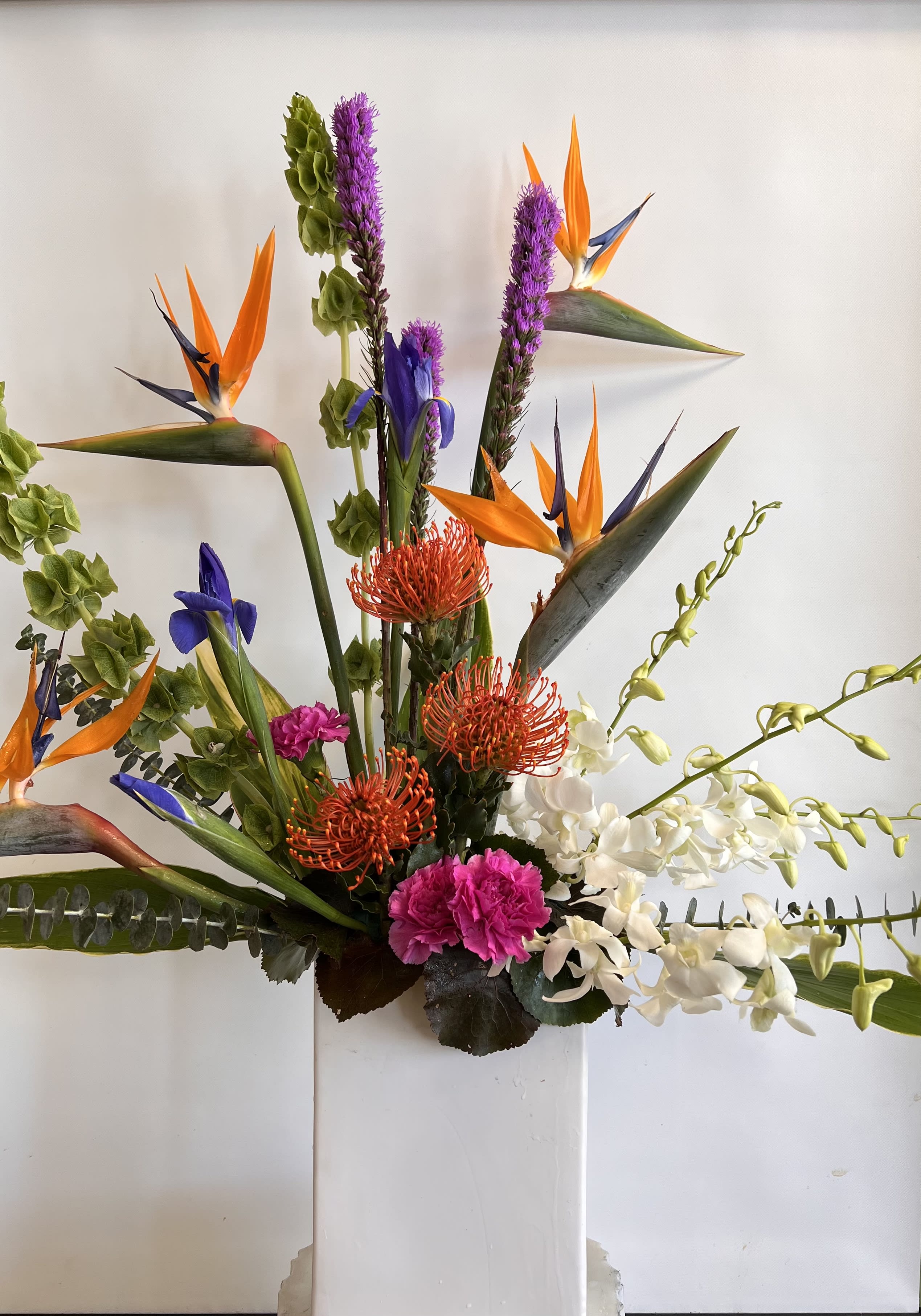 Tropical arrangement with bird-of-paradise, orchids, and orange pincushion blooms