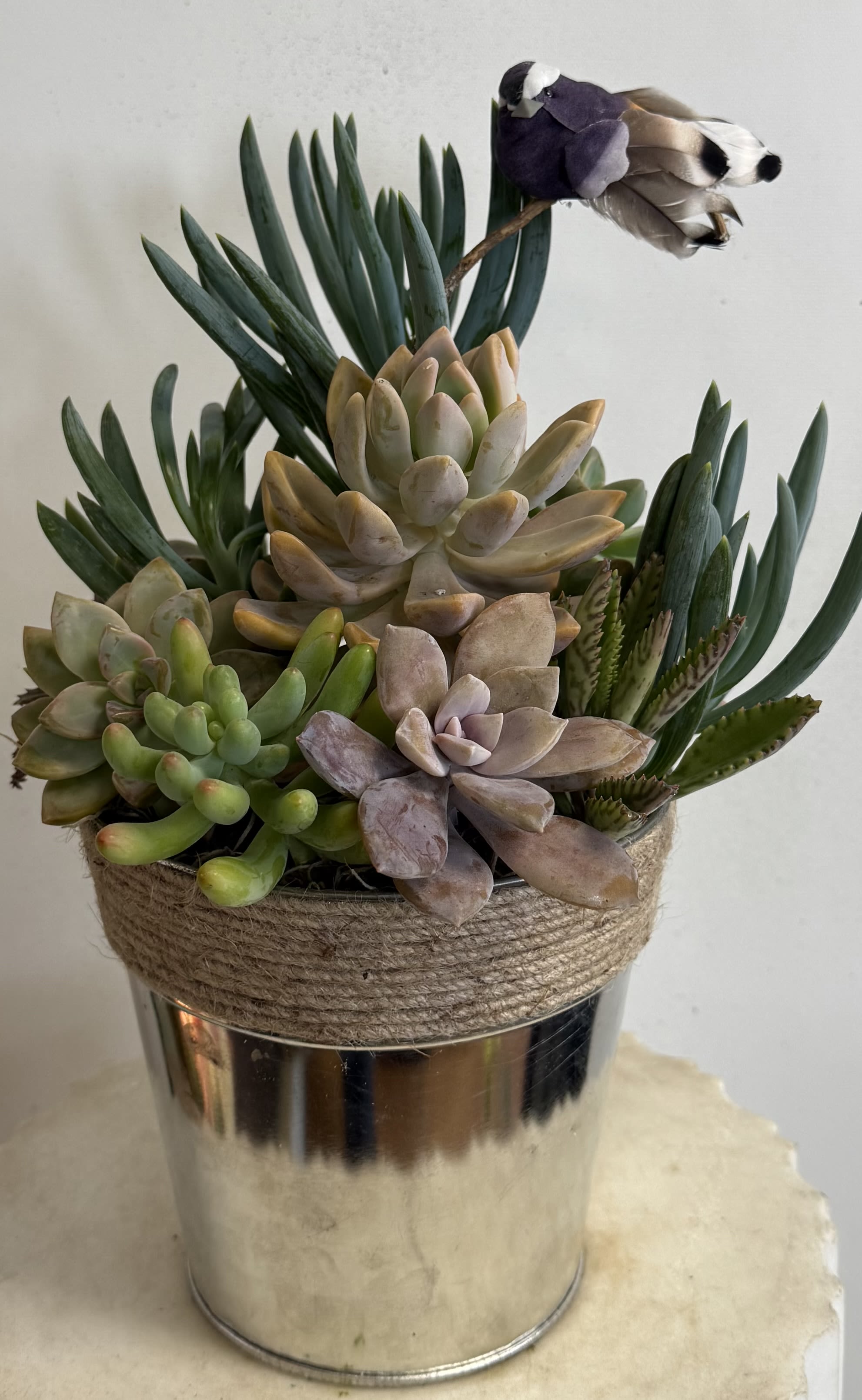 Succulent arrangement in a metal bucket with a rope wrap