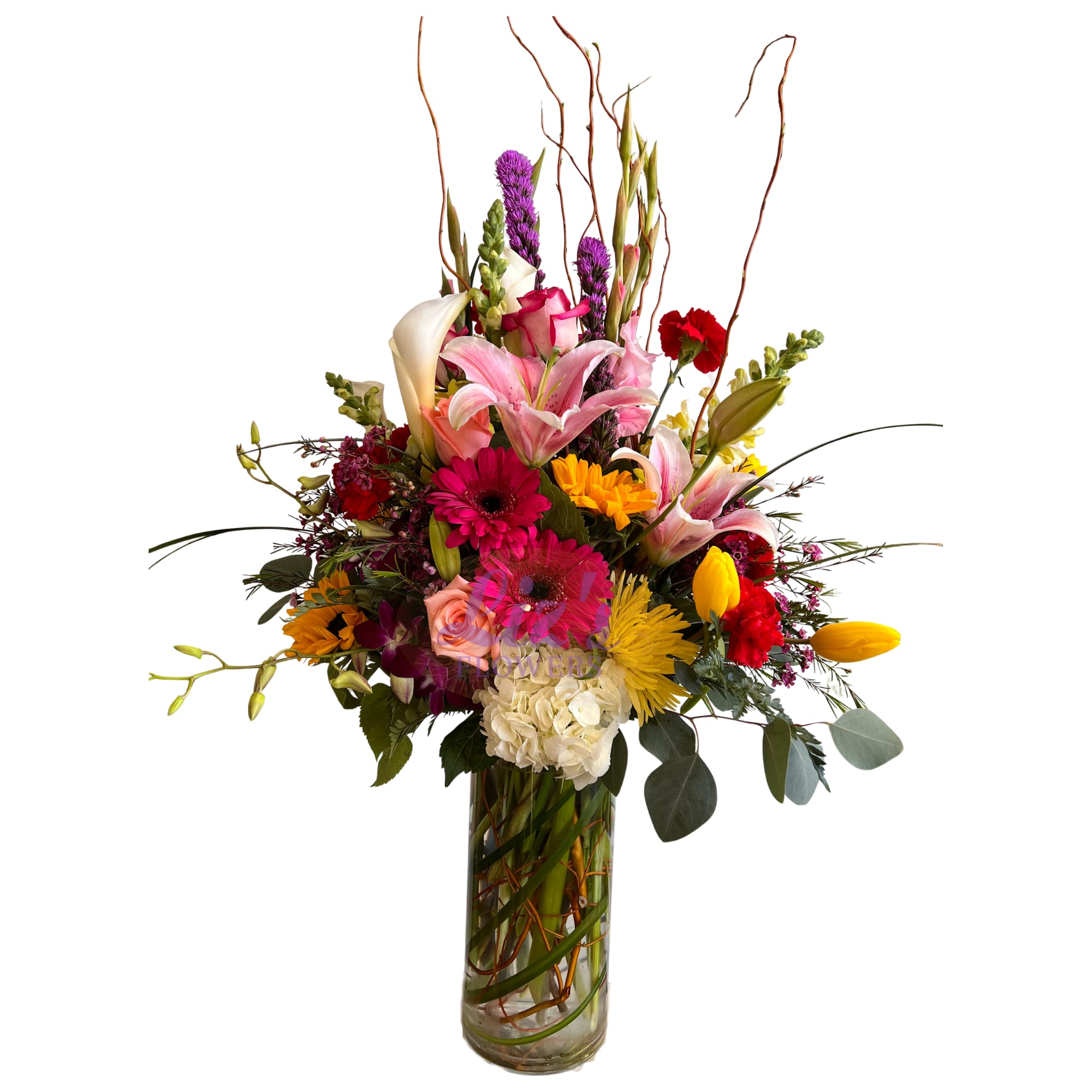 For that special one! - Big and beautiful f!