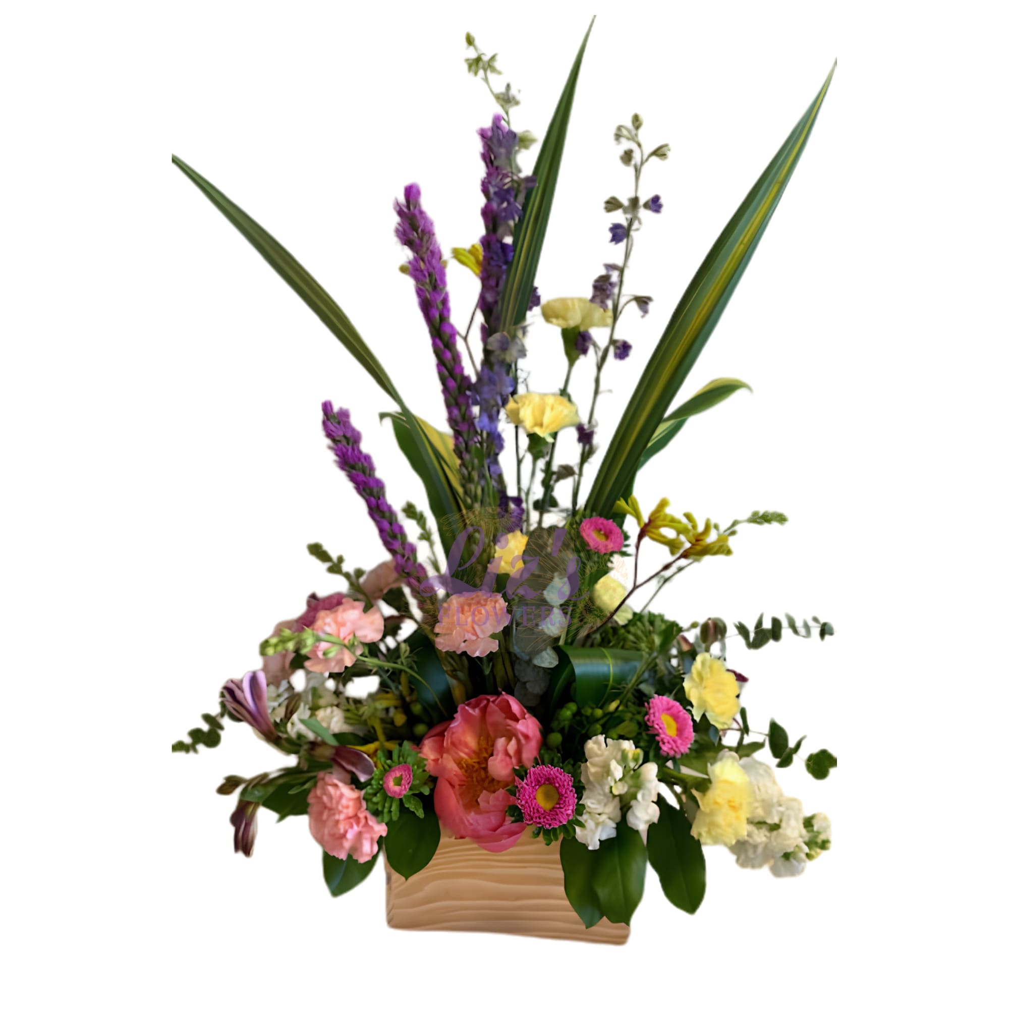 Beautiful Botanist - Beautiful Botanist is a celebration of botany and gardening. Do you know a beautiful gardener or someone who loves pink, pretty gardens and wild flowers? 