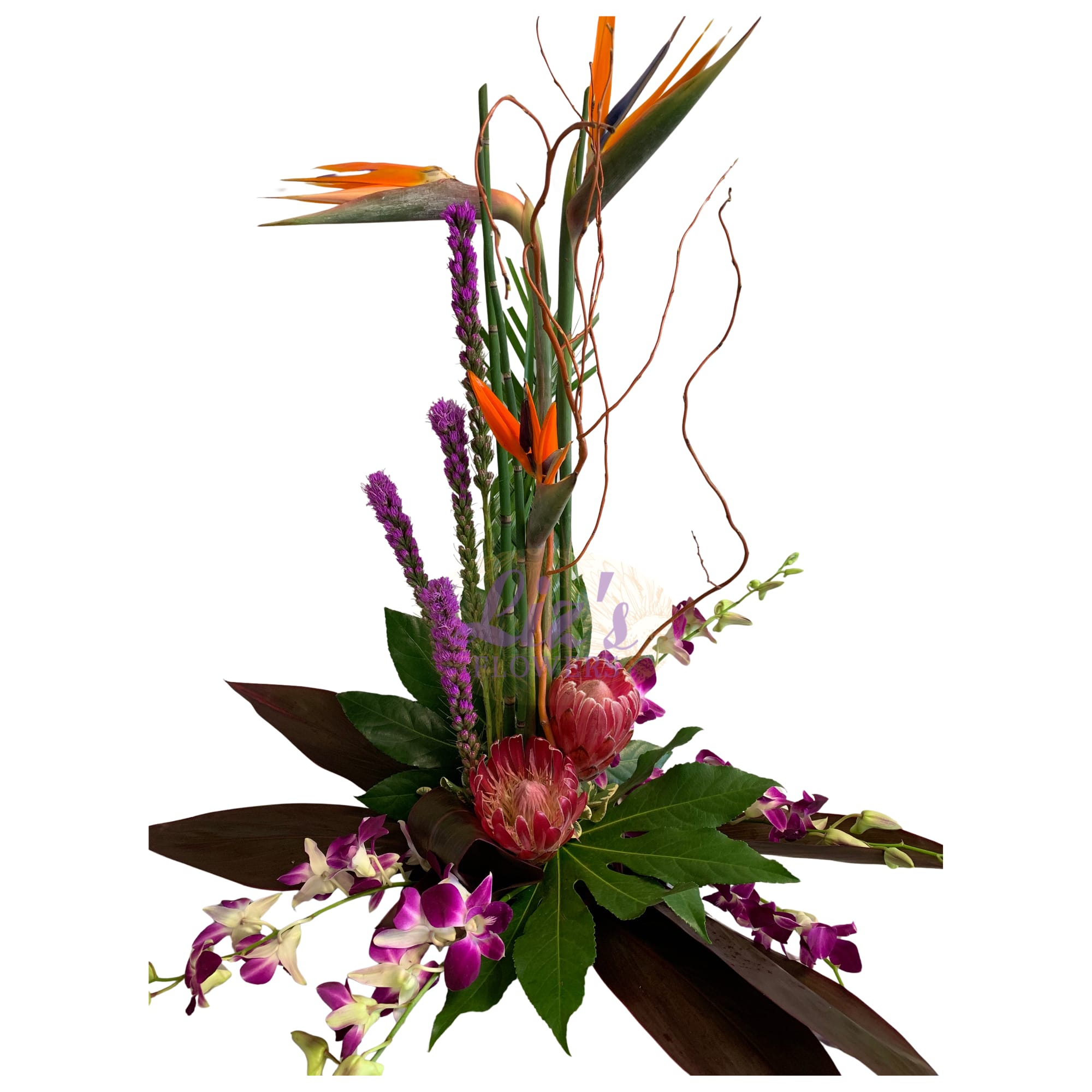 Tall tropical arrangement with orange bird of paradise and purple orchids